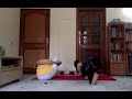 Sivananda Yoga Live Class - 18 May 8 am