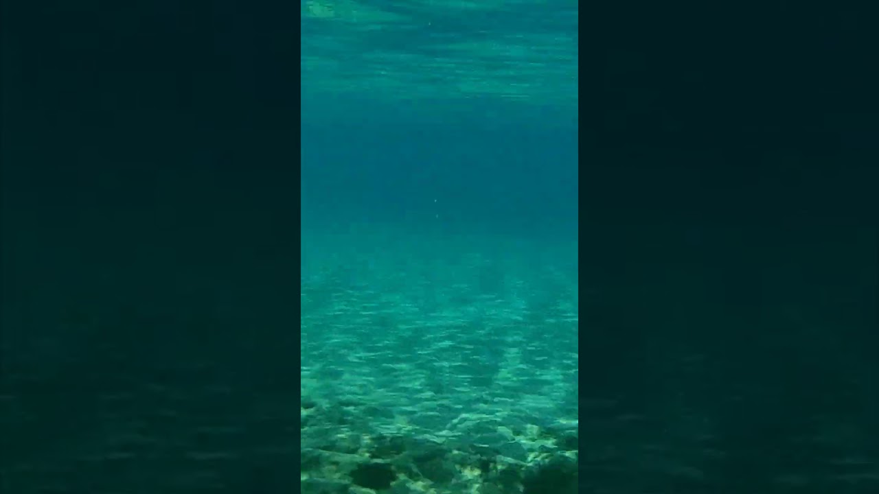 Плаваю с рыбами на Кипре. Залив фиговых деревьев. Pernera.