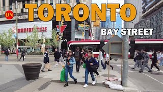 TORONTO / BAY STREET WALK ( MAY 2024 )