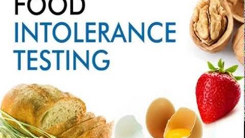 Hi-Precision Diagnostics Food Intolerance Test