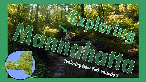 Manhattan Island BEFORE New York City!