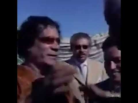 ديما في العوالي كيف الصقر