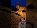 very funny video #fyp #funnyvideos #MustWatch #fbreels #fyp