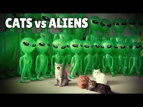 Alien Invasion Prank! Cats vs Aliens | Kittisaurus