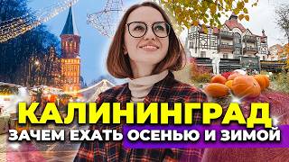 видео: Калининград вне сезона: Почему сюда стоит ехать осенью и зимой | #smm #маркетинг картинка: Калининград вне сезона: Почему сюда стоит ехать осенью и зимой | #smm #маркетинг