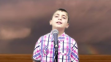 علي جواد/تلاوة/تحقيق/التين والعلق - مقام الرست