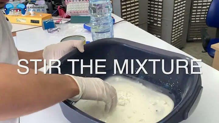 How To Make Non-Newtonian Fluid From Starch and Water - (Home Experiment)