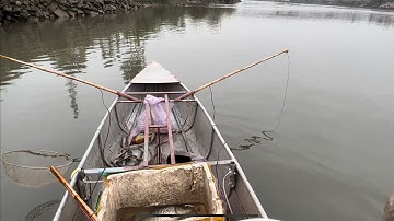 Thực tế kéo cáp bắt cá rô phi. Kích cá nước ngọt 44fet LC