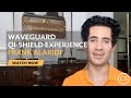 Waveguard qi shield experience  frank alaridi