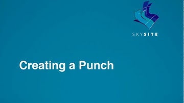 SKYSITE Tutorial: Creating a Punch