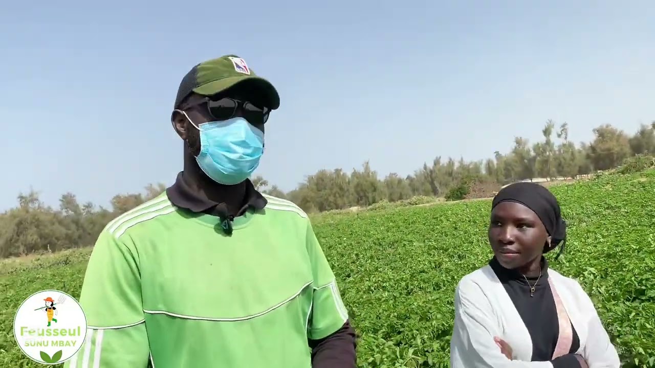 Feusseul sunu Mbay à Noto Gouye Diama chez Ablaye Sy