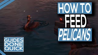 How To Feed Pelican’s In Far Cry 6