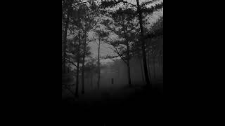 Luke Faulkner - The Wanderer