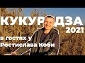 Кукурудза 2021 на Полтавщині. В гостях у Ростислава Коби. Гібриди ДМС 3111, ДМС Гроно, ДМ Ліберті