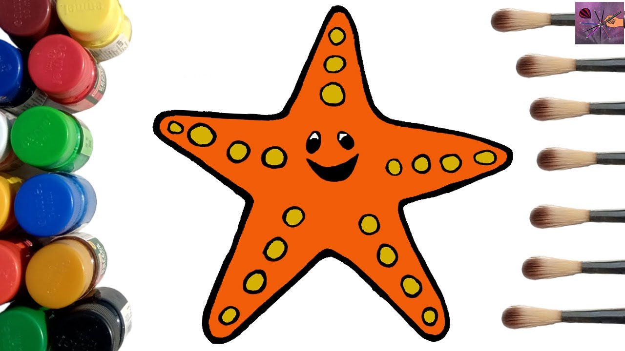  Starfish Coloring Pages How to Draw a Starfish Easy Step by Step 