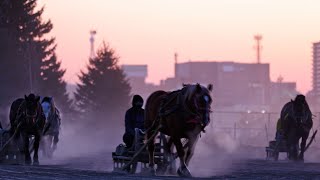 ばんえい競馬の朝調教