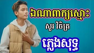 Video thumbnail of "ឯណាពាក្យស្មោះ ភ្លេងសុទ្ធ | សួរ វិចិត្រ | Karaoke plengsot ena pheak smos"