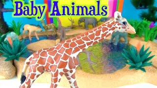 National Geographic Animal Play Set Giraffe Zebra Rhino Baby Elephant 4-16 cm 