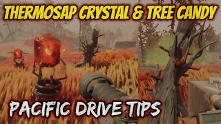 Pacific Drive Where To Find Thermosap Crystal And Tree Candy