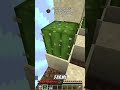 Minecraft Skyblock'ta Efsane Taktik 🤯⚡️