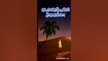 تلاوات من الذكر الحكيم 💗 الا بذكر الله تطمئن القلوب 💗💗