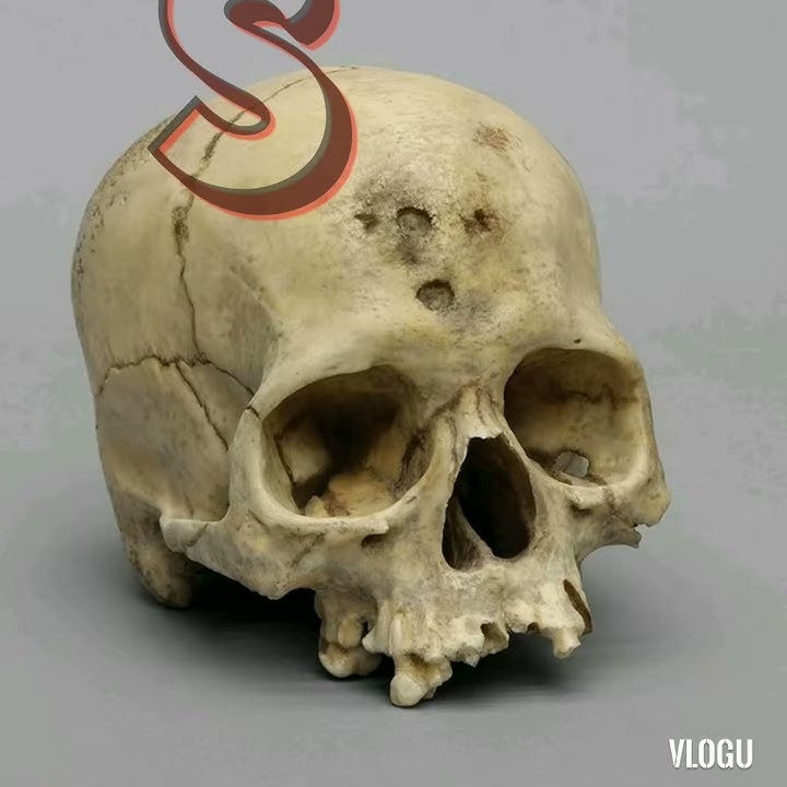 Top 3 High Tech 3d intro template (SKULL)