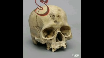 Top 3 High Tech 3d intro template (SKULL)