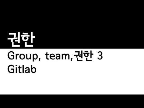 Gitlab 그룹, 팀, 권한 3 - 권한