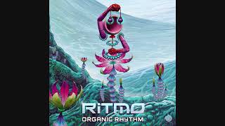 Ritmo - Organic Rhythm