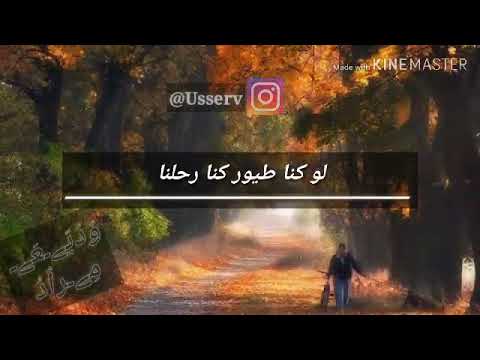 افخم حالة واتس اب ممكن تسمعها حالات واتساب حزينة جورج وسوف لو كنا طيور