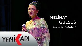 Melihat Gülses - Hancı  Resimi