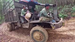 Full video: Hai Lua's muddiest journey carrying agricultural products