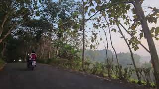 POV Morning Ride 🇮🇩 | Teak Forests, Sunrise & Village Life in Java | Motorcycle Tour