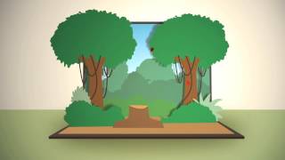 Download Lagu FSC-keurmerk uitgelegd | Verantwoord hout en duurzaam bosbeheer MP3 Download Lagu FSC-keurmerk uitgelegd | Verantwoord hout en duurzaam bosbeheer MP3