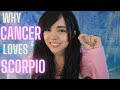 CANCER AND SCORPIO ♋💘♏| LOVE COMPATIBILITY | SYNASTRY | What's the connection like?