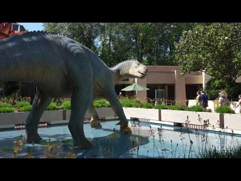 Dinosaur Ride at Disney's Animal Kingdom - FULL Experience in 4K