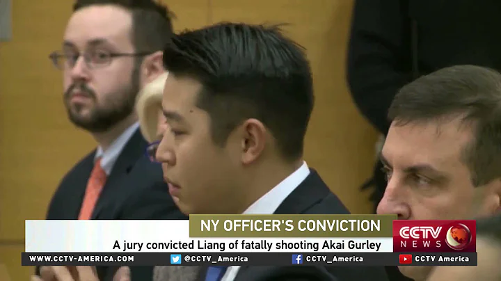 Cliff Zhonggang Li on the Liang verdict