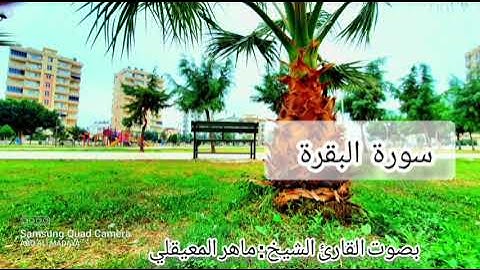 #سورة_البقرة_آيات_قرآن_تريح_القلب       تلاوة رائعة بصوت القارئ الشيخ ماهر المعيقلي _ أرح سمعك وقلبك