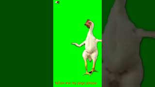 murga green screen videos dance dj
