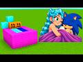 Poppy Playtime DIAMOND LILY LOVEBRAIDS X SONIC IN BED Addon in MINECRAFT!