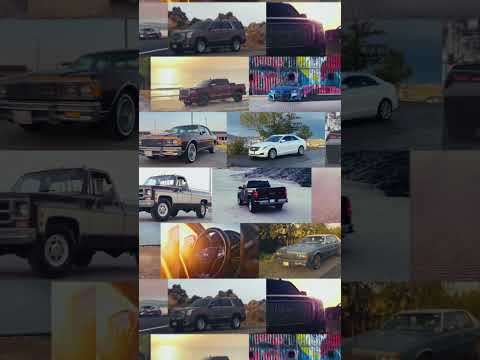 اليوم العالمي للتصوير أصدقاء الجميح