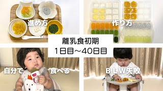 基本の離乳食とBLW失敗談【初期の全て】