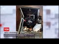 Новини України: у Бердичеві п'яний водій пробив вікно крамниці та зупинився лише в приміщенні