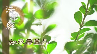 【靜思妙蓮華】法華經如來壽量品 - 佛如良醫 善治眾病 - 20231027 第1533集