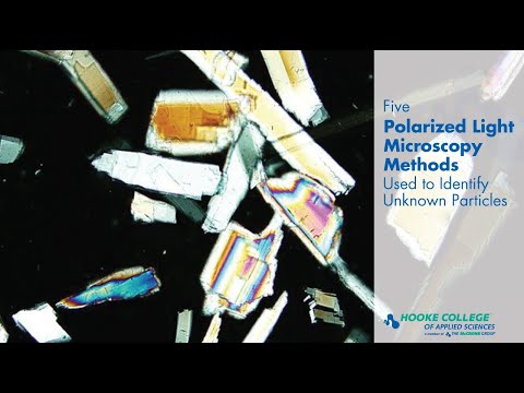 Video: How To Tell Natural Light From Polarized Light