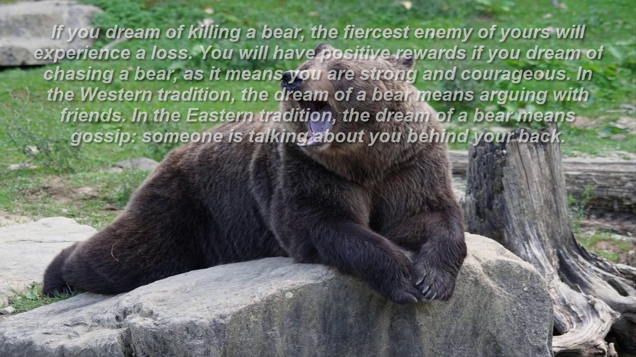 bear dreams meaning