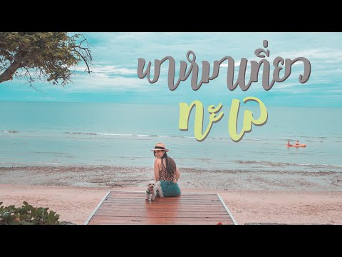 เที่ยวทะเล พาน้องหมาพักโรงแรมหรู X2 Kui Buri ANNDAY Vlog