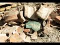 Campaign To Save Mes Aynak Campaign To Save Mes Aynak