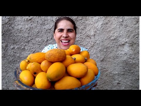 OITI VOCÊ CONHECE