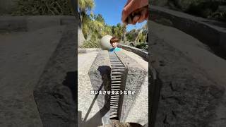 あのゲームの音、、、？